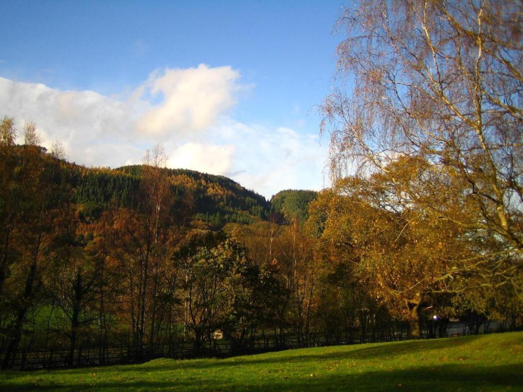 Llety Betws Hotel Bagian luar foto